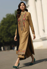 Load image into Gallery viewer, BEIG VELVET
