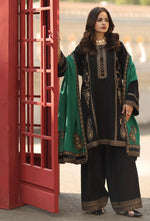 Load image into Gallery viewer, BLACK VELVET
